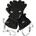 Zanier Ride GTX Skihandschuhe schwarz 9,5