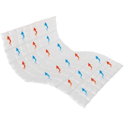 Traumina Breeze Daune Einziehdecke WK2