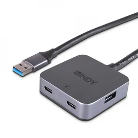 Lindy 43388 Schnittstellen-Hub USB 3.2 Gen 1 (3.1 Gen 1) Type-A 5000 Mbit/s Schwarz, - Schwarz/Grau