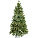 Evergreen Weihnachtsbaum Roswell Kiefer 180 cm, beleuchtet