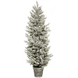 Fééric Lights and Christmas Weihnachtsbaum Frosty Mehrfarbig 150 cm