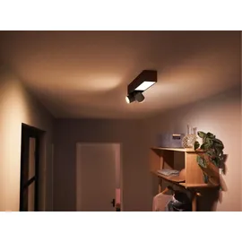 Philips Hue White & Color Ambiance Centris Spot 2-flg. schwarz