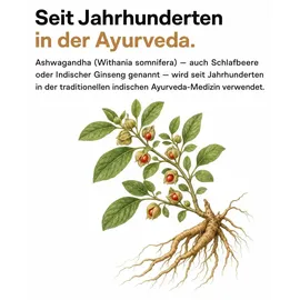 Bio Medical Pharma Ashwagandha KSM-66 Kapseln 90 St.