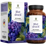 NATURTREU Blutdruck OPC Komplex Kapseln 90 St.
