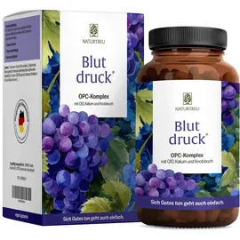 NATURTREU Blutdruck OPC Komplex Kapseln 90 St.