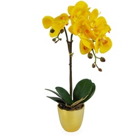 Leaf Design UK Realistische künstliche Orchideen-Blumen-Display im Topf