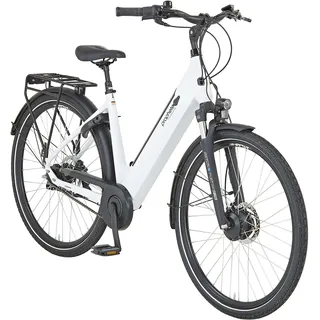 Prophete Geniesser 2.0 28 Zoll RH 48 cm Weiß Kreide