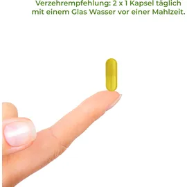 vitality nutritonals Leber Vital Pro Kapseln 40 g