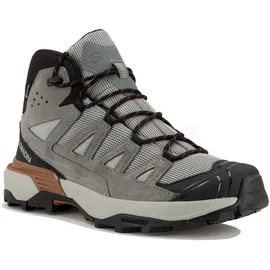 Salomon X Ultra 360 Leather Mid GORE-TEX Grau/Silber 40