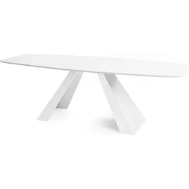 WFL GROUP Esstisch, Weiß, Holzwerkstoff, 14-Sitzer, Oval,Oval, 90x76x180 cm, Esszimmer, Tische, Esstische