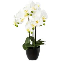 Kunstblume Orchidee Phalenopsis, weiß, in schwarzer Vase, Creativ green, Höhe 55 cm 55 cm