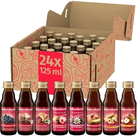 Rabenhorst Probierpaket Mini, 8 Sorten à 3 Flaschen 24x125 ml), Saft