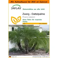 SAFLAX - Garden in the Bag - Zwerg -