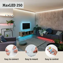 Paulmann LED-Stripe MaxLED 250 78865 9W RGBW 150 cm
