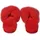 Hollert Florida Rot 36