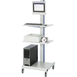 Rau Computer-Ständer mobil BxTxH 650x650x1750mm