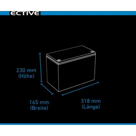 Ective LC 100L Versorgungsbatterie 17,5 x 19 cm Schwarz