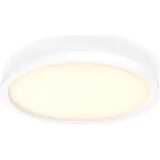 Philips Hue White Ambiance Aurelle