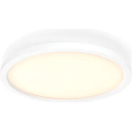 Philips Hue White Ambiance Aurelle 39,5 cm warmweiß weiß