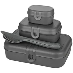 Koziol Lunchbox-Set inkl. Besteck Pascal Ready