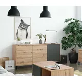 Dmora - Concord-Sideboard, Wohnzimmer-Buffet, TV-Schrank, Wohnzimmer-Kleiderschrank, modernes Sideboard mit 2 Türen und 3 Schubladen, 154 x 41 x 74 cm, geknotete Eiche und Anthrazit