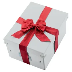 Leitz Archivbox Click & Store 60440001 für DIN A4, weiß, 281x200x369 mm, Hohe Stabilität