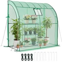 Vevor Foliengewächshaus PE Grün 198x100x200 cm