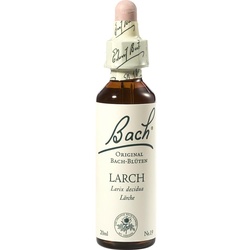 Bach-Blüte Larch 20 ML