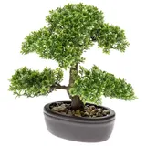 Botanic-Haus Emerald Kunstpflanze Bonsai Grün 32 cm 420002