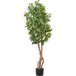 Kunstpflanze CREATIV GREEN "Ficus benjamina", grün, H:160cm, Kunststoff, Kunstpflanzen, mit sehr naturgetreu gestalteten Blättern