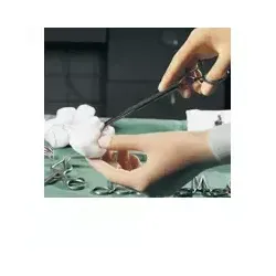 GAZIN Tupfer pflaumengr.unsteril o.RK 1000 St Tupfer