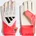 Predator GL Training J Lucred/Zero Metallic/Schwarz 4