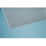 Einsteiger Polycarbonat Hohlkammerplatte 2100 x 3500 x 6 mm - Klar - 2811262