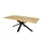 Sconto Spyder III 100 x 76 x 76 cm braun
