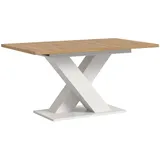 xonox.home Motion 150 x 76 x 90 cm braun/weiß