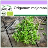 Saflax - BIO - Majoran - 700 Samen - Origanum majorana