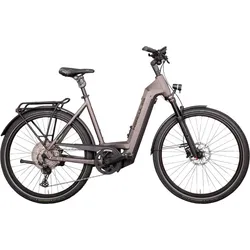 Hercules Futura Max I-12 Silber Modell Aktion
