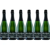 6x Pinot blanc-Sekt brut 0Ltr., 2023 - Wein- und Sektgut Wind-Rabold, Pfalz! Se...
