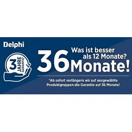 Delphi Bremsbelagsatz, Scheibenbremse