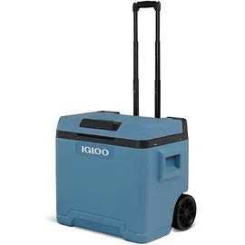Igloo IE42 Tragbare Kühlbox 42 l