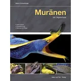 Natur und Tier Muränen im Aquarium: