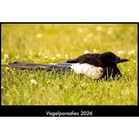 Vero Kalender Vogelparadies 2026 Fotokalender DIN A3 von Tobias
