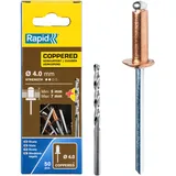 Rapid Blindnieten für Kupfer Ø 4mm, 5-7mm Klemmbereich, 50 Stk. Verkupferte Nieten, Set inkl. Bohrer, für Blindnietzangen