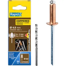 Rapid Blindnieten für Kupfer Ø 4mm, 5-7mm Klemmbereich, 50 Stk. Verkupferte Nieten, Set inkl. Bohrer, für Blindnietzangen