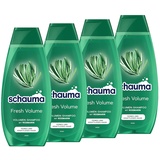 Schauma Volumen-Shampoo Fresh Volume (4x 400 ml), Haarshampoo erfrischt und kräftigt den Haaransatz, Shampoo für feines und kraftloses Haar, mit Rosmarin