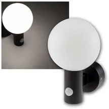 ChiliTec LAMU (CT23795) schwarz