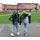 EXIT TOYS Pico schwarz 2er Set (41.00.20.00)