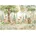 300x210 Tiere Tiere