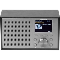 MEDION P66099 DAB+ UKW Radio (Retro Look, 2,4" Farbdisplay, 20 Watt, RDS, Display Dimmer, Digitaler Soundprozessor, Einschlafautomatik Sleep) Silber