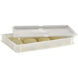 APS Teig- und Pizzaballenbehälter,